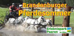 Brandenburger Pferdesommer