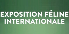 Exposition Féline Internationale