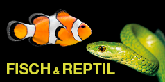 Fisch & Reptil