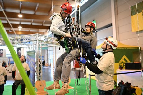 Galerie, VERTICAL PRO