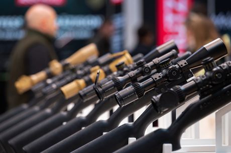 Galerie, WILD & FANG