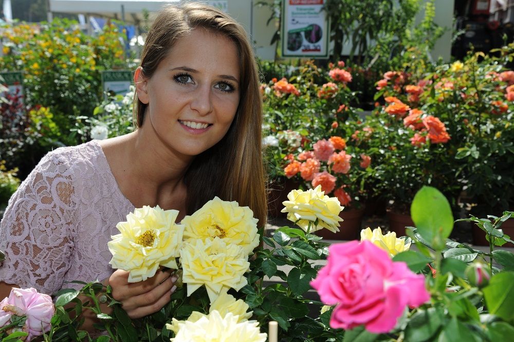 Galerie, Internationale Gartenbaumesse Tulln