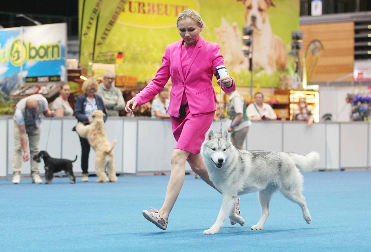 Galerie, Rassehundeausstellung Erfurt