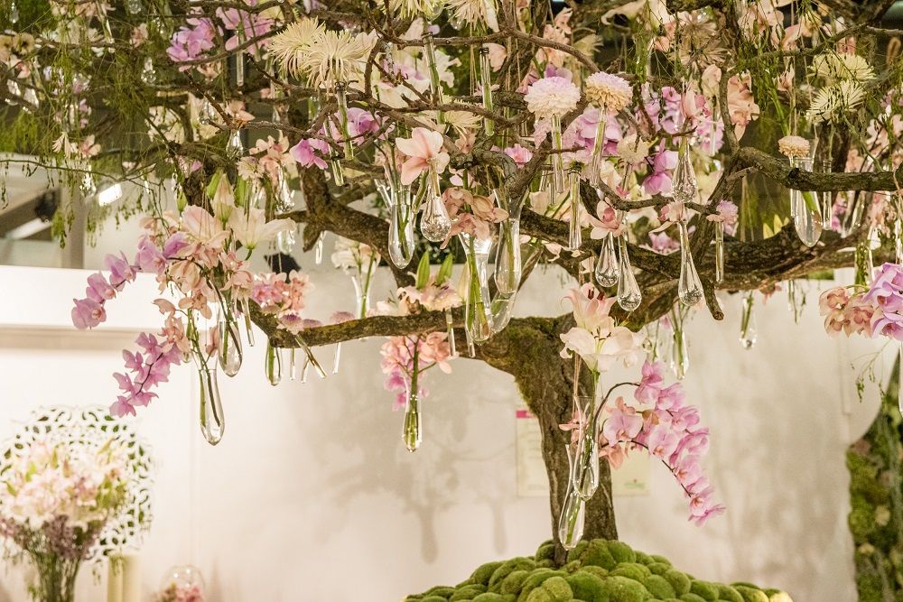 Galerie, Internationale Gartenbaumesse Tulln