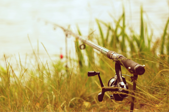 TIER & NATUR Bild