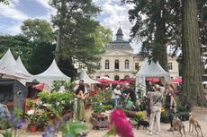Düsseldorfer Herbstfestival Schloss Eller Bild 1