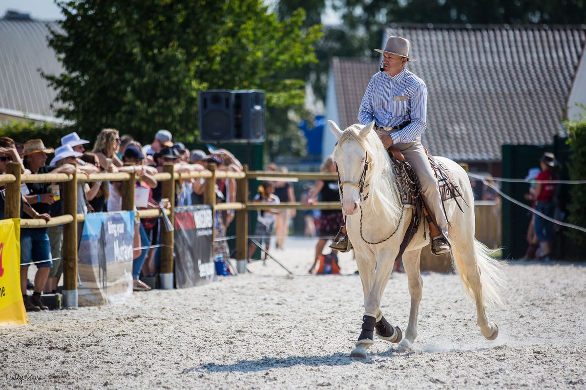 Galerie, MUSTANG MAKEOVER