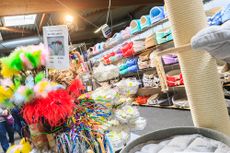 Hund, Katze & Co Bild 1