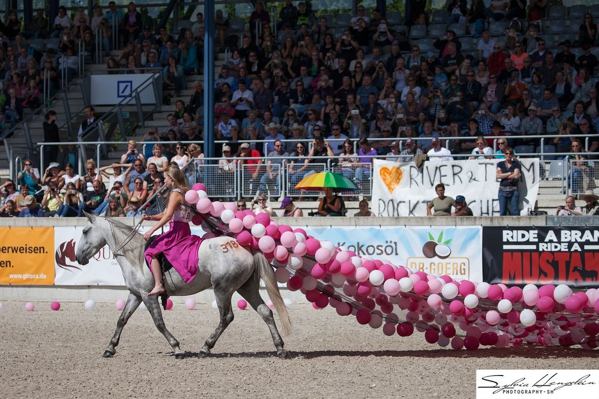 Galerie, MUSTANG MAKEOVER