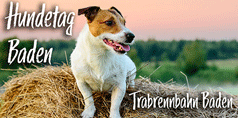 Badener Hundetag Logo