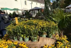 GartenLust Schloss Marchegg Bild 2
