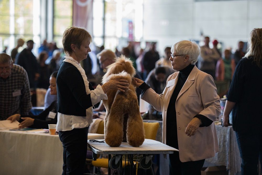 Galerie, Internationale RasseHundeAusstellung
