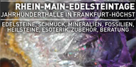 Rhein-Main Edelsteintage Logo