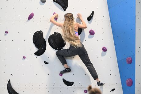 Galerie, VERTICAL PRO