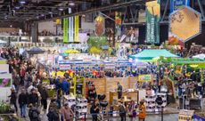 Chemnitzer Frühling Bild 2