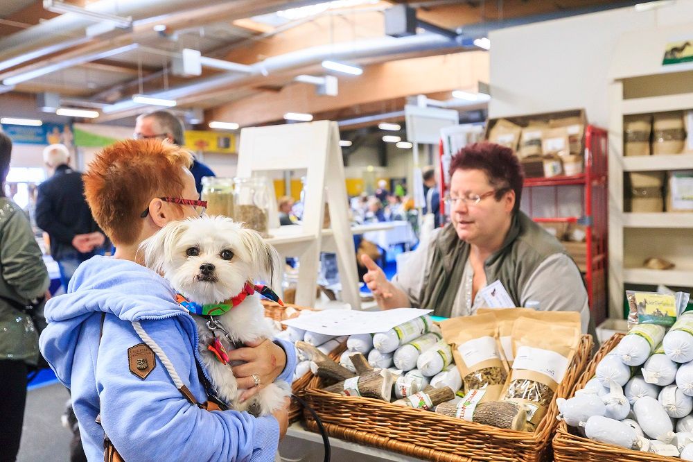 Galerie, Hund, Katze & Co