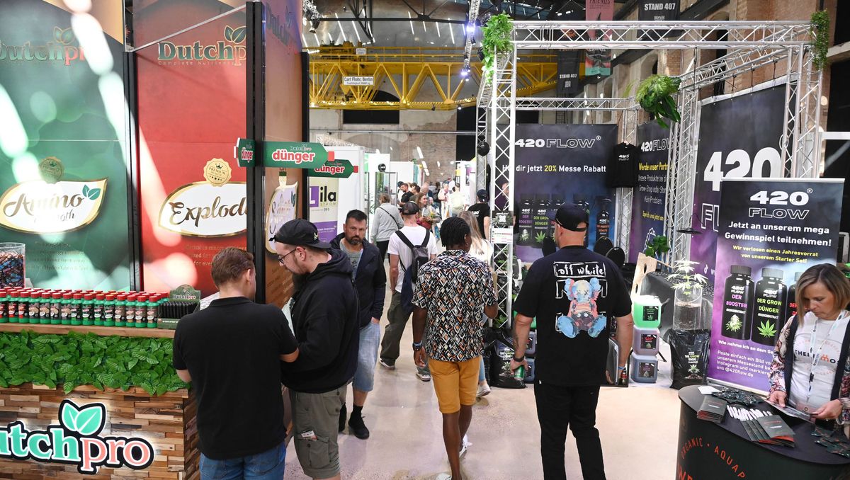 CANNAFRIENDS Bild