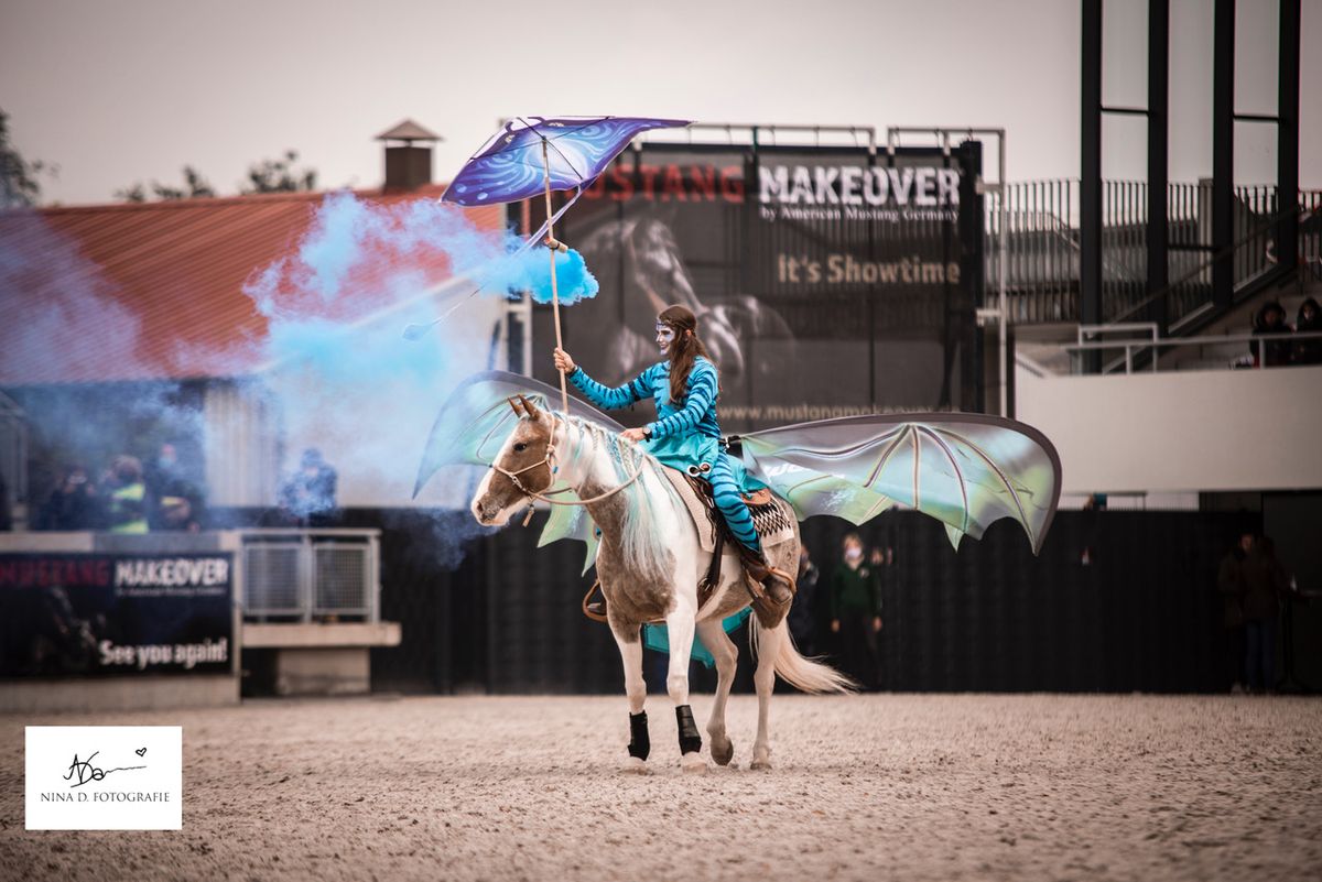 Galerie, MUSTANG MAKEOVER