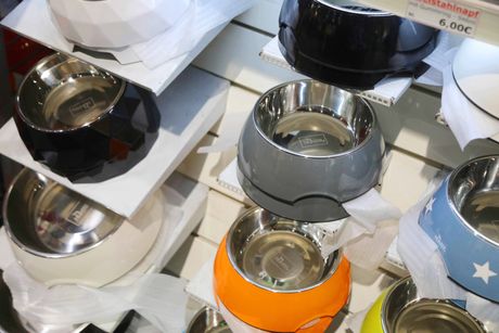 Galerie, Rassehundeausstellung Erfurt