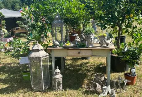 GartenLust Schloss Halbturn Bild