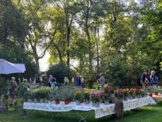 GartenLust Schloss Marchegg Bild 3