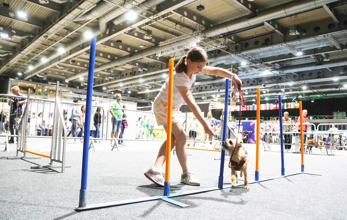 Galerie, Rassehundeausstellung Erfurt