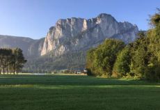 GartenLust Das Sägewerk am Mondsee Bild 3