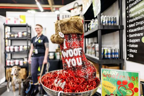 Galerie, Heimtier Messe Nürnberg