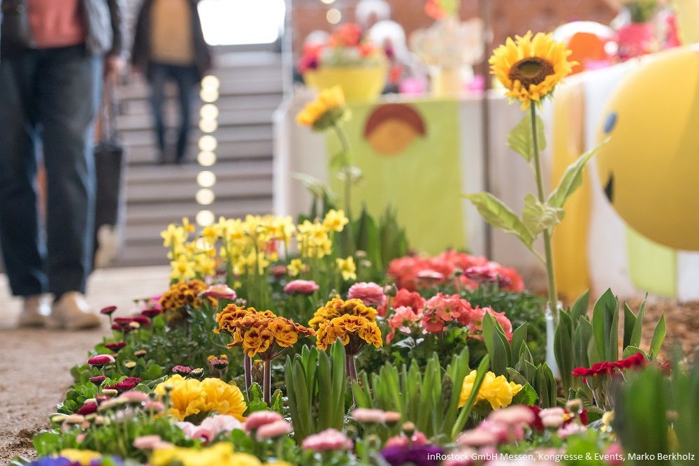 Galerie, OstseeMesse