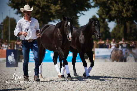 Galerie, MUSTANG MAKEOVER