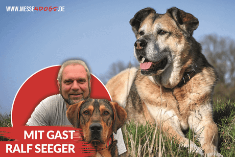 Galerie, messe4dogs Basthorst