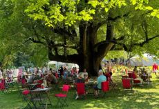 GartenLust Schloss Kogl Bild 3