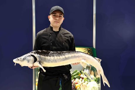 Galerie, Reiten-Jagen-Fischen