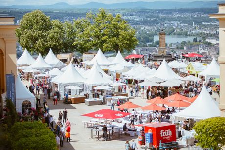 Galerie, Landpartie Festung Ehrenbreitstein
