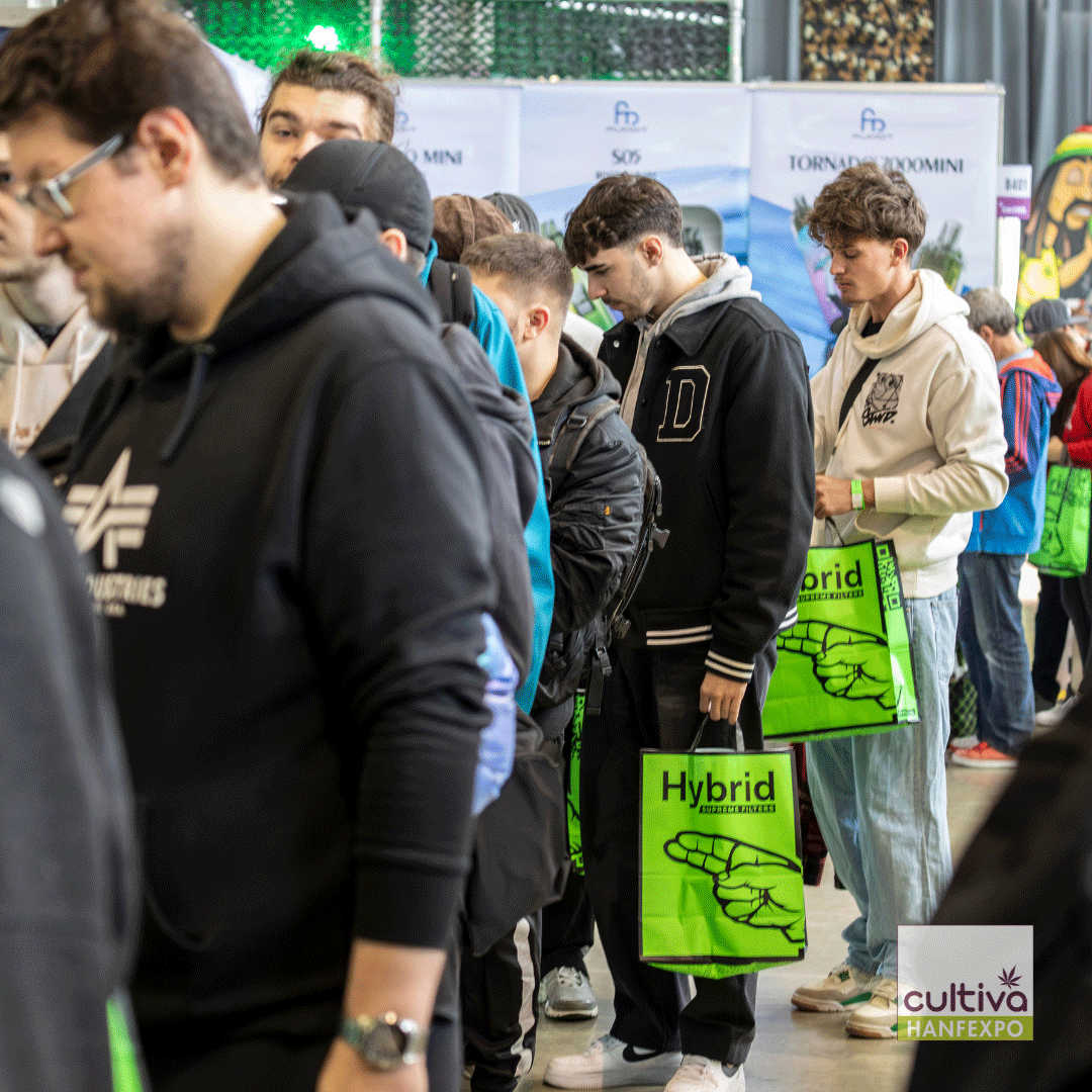 Galerie, CULTIVA HANFEXPO