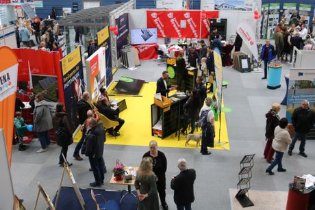 Haus, Bau & Energie Messe Ilsenburg Bild