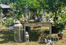 GartenLust Schloss Halbturn Bild 2