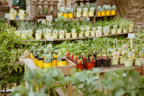 Galerie, Herbstpartie Kloster Kamp