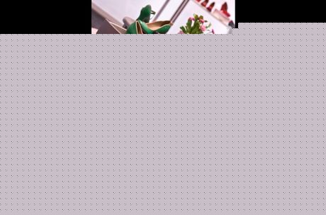 Galerie, QUARTERshoetime & bags