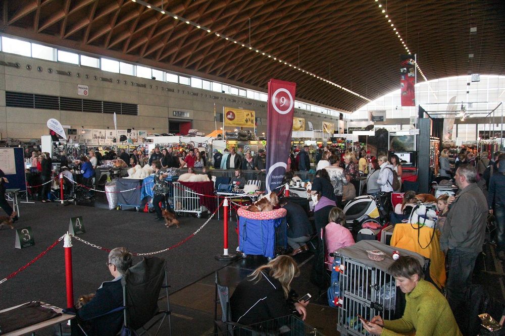 Galerie, Internationale RasseHundeAusstellung