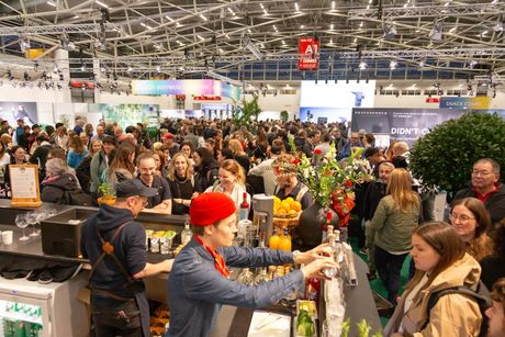 Galerie, PERFORMANCE DAYS