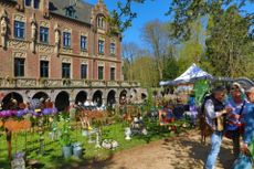 Schlossfrühling Schloss Paffendorf Bild 2