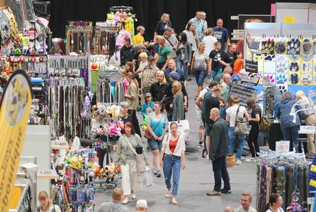 Galerie, Rassehundeausstellung Erfurt