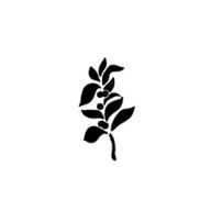 Lightroast Coffee Catering Logo