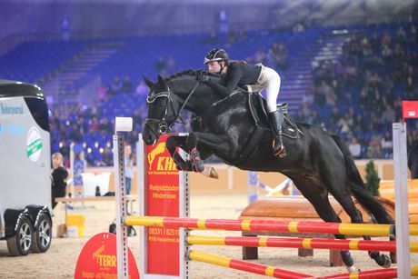 Galerie, PFERD BODENSEE