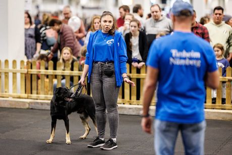 Galerie, Heimtier Messe Nürnberg