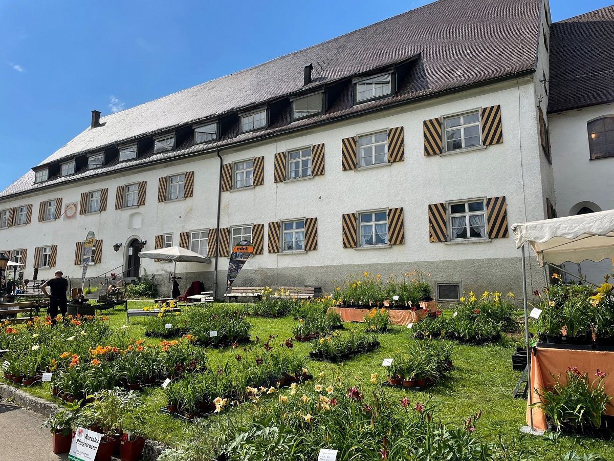 Galerie, gusto!-Sommerfestival