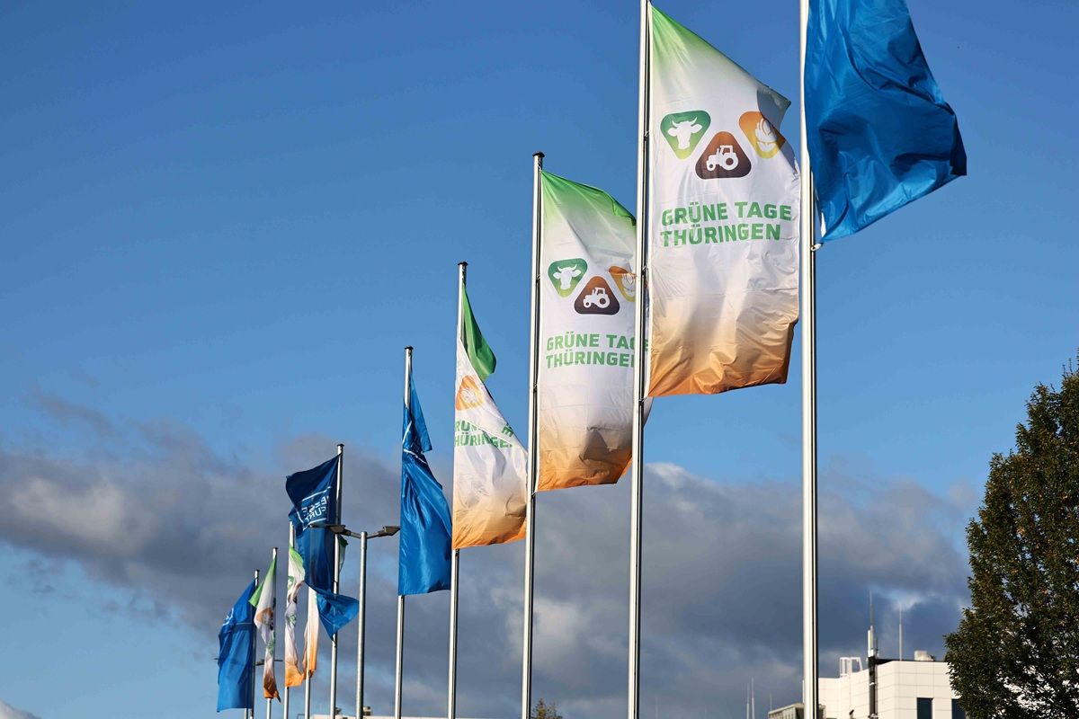 Galerie, Grüne Tage Thüringen