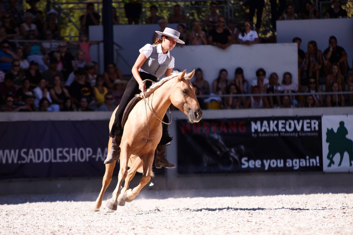 Galerie, MUSTANG MAKEOVER