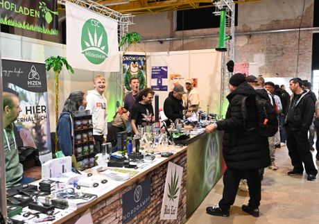 CANNAFRIENDS Bild